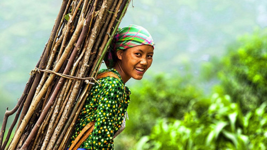 Beauty and spirit of ‘Vietnam Women’ 