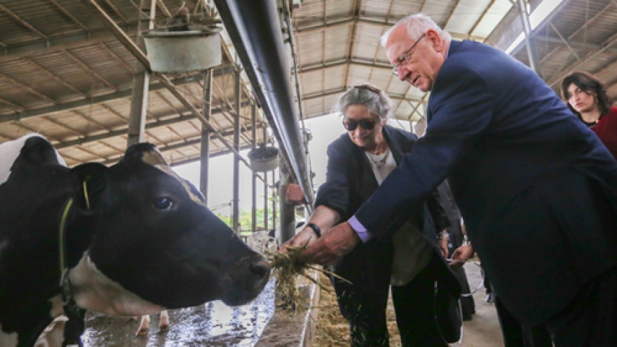 Israeli President Rivlin, First Lady tour Vietnamese dairy farm 