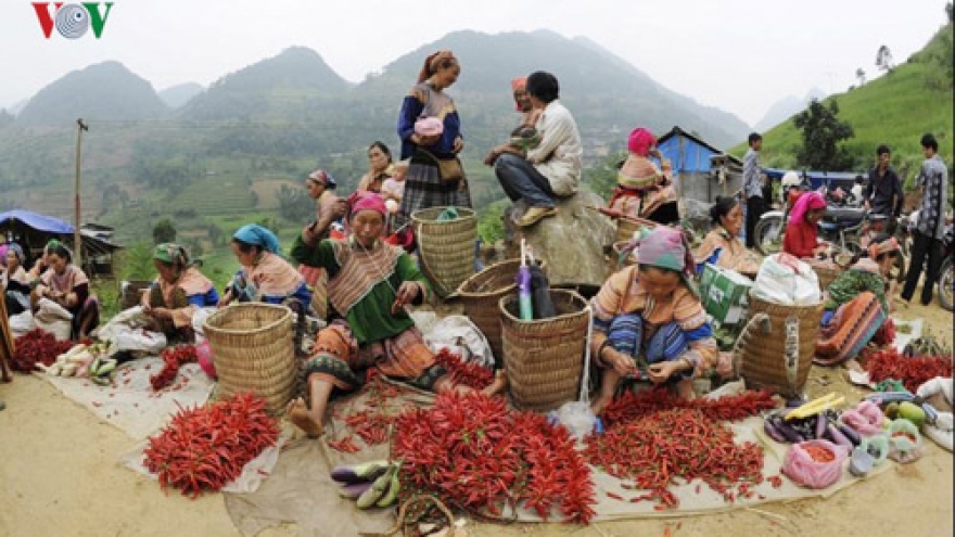 Vibrant Can Cau Saturday market in Lao Cai