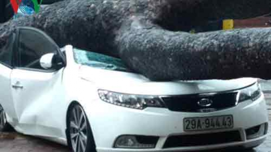 
        Dianmu pummels northern Vietnam, thousands without power
                          
                      