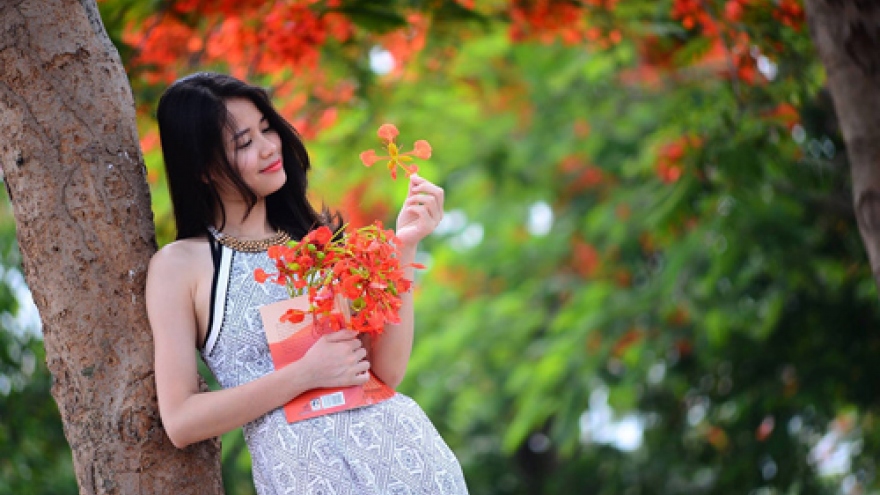 Colorful flowers in Hanoi summer