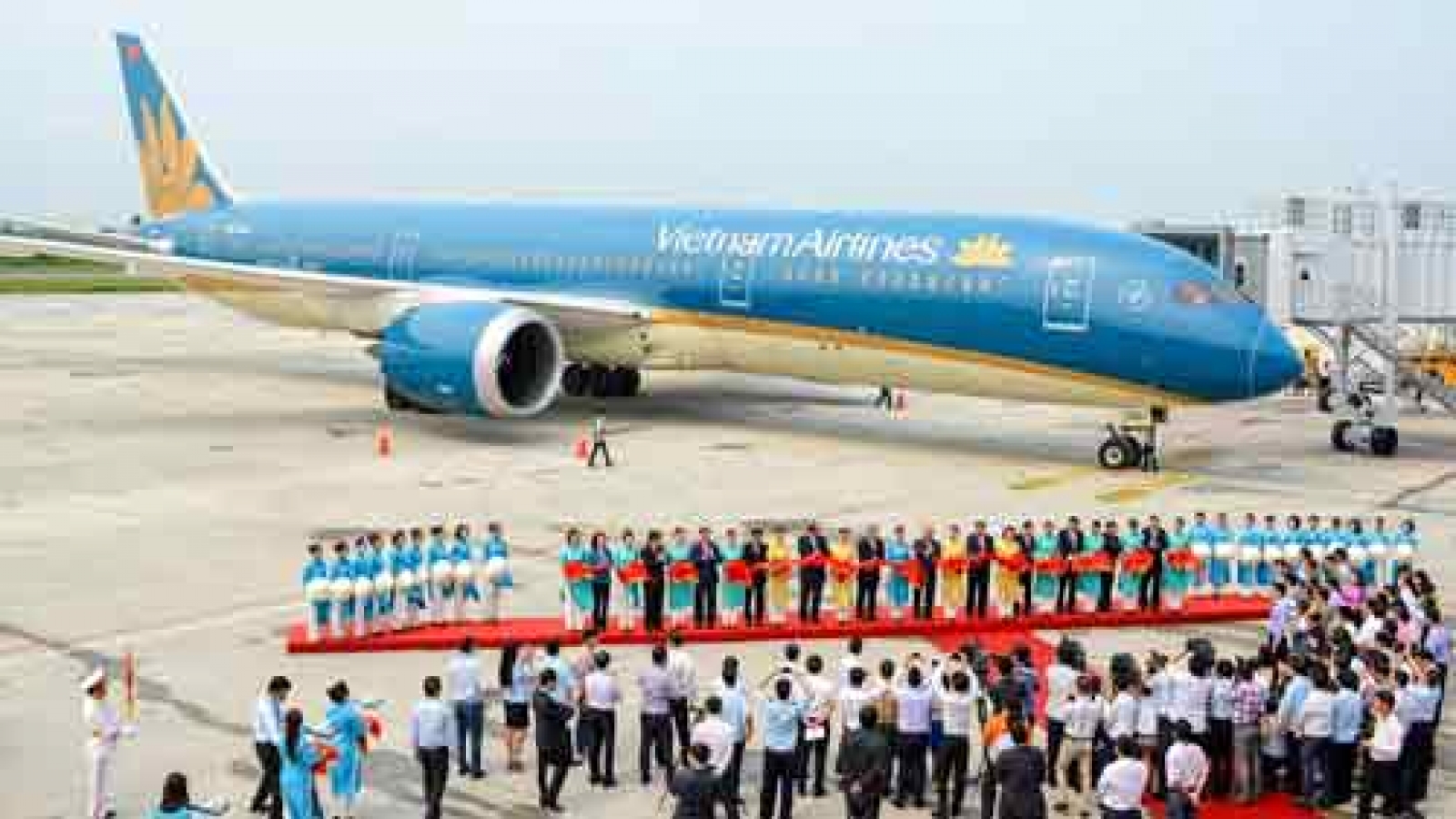Images of Cat Bi International Airport