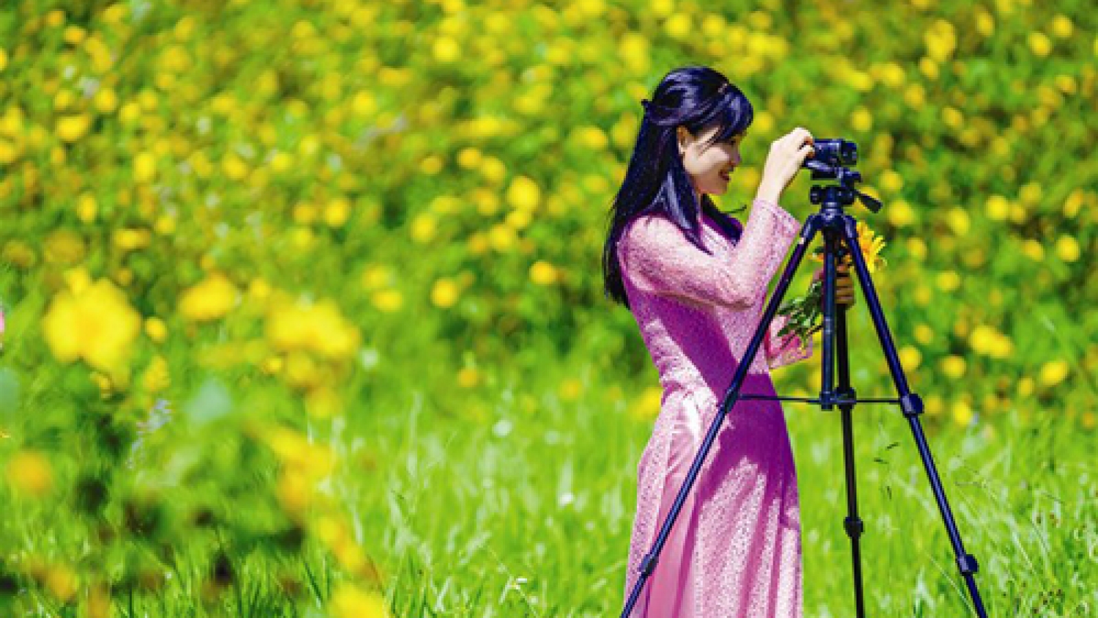 Early winter makes Da Lat more charming
