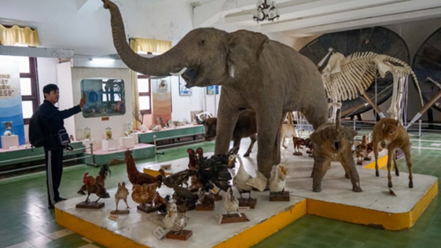 Discovering Central Highland Biological Institute in Da Lat