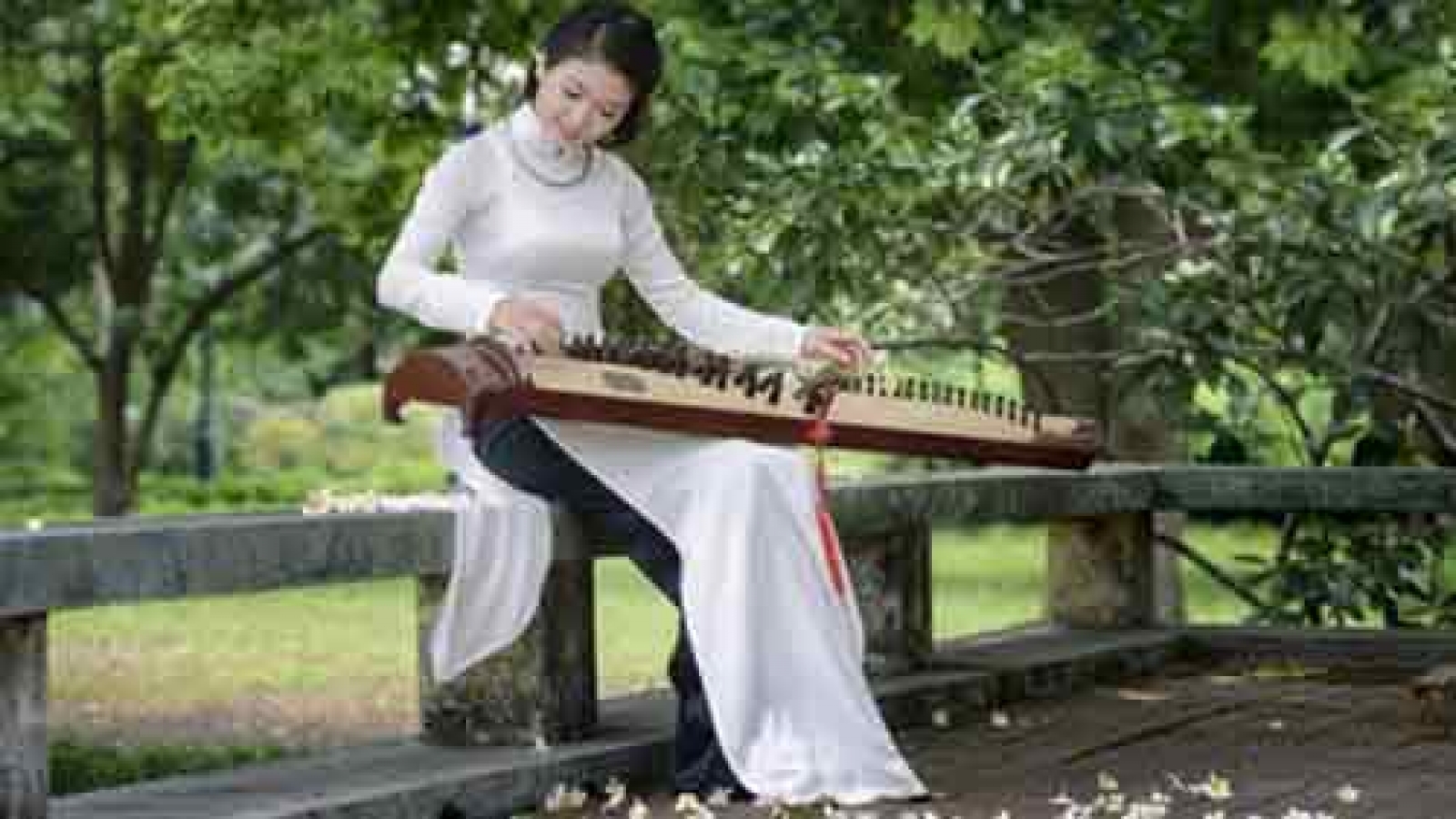 The 16-string Zither - traditional Vietnamese musical instrument