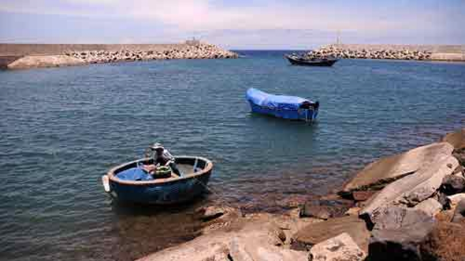 Con Co Island – The rough pearl in the ocean