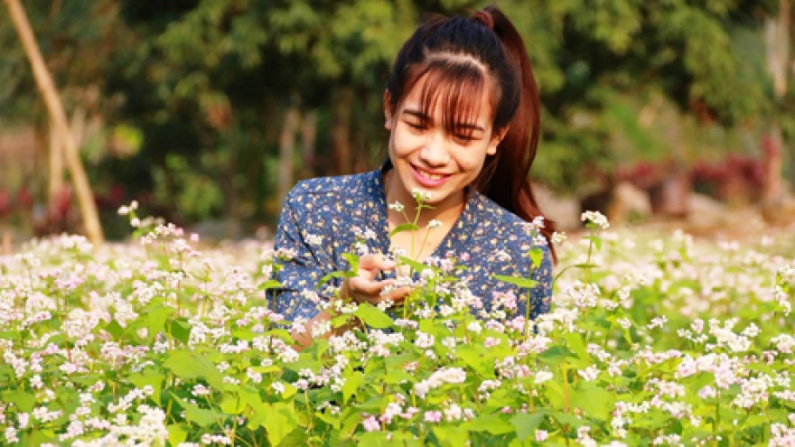 Ninh Binh brightened with Tam Giac Mach flowers blooming