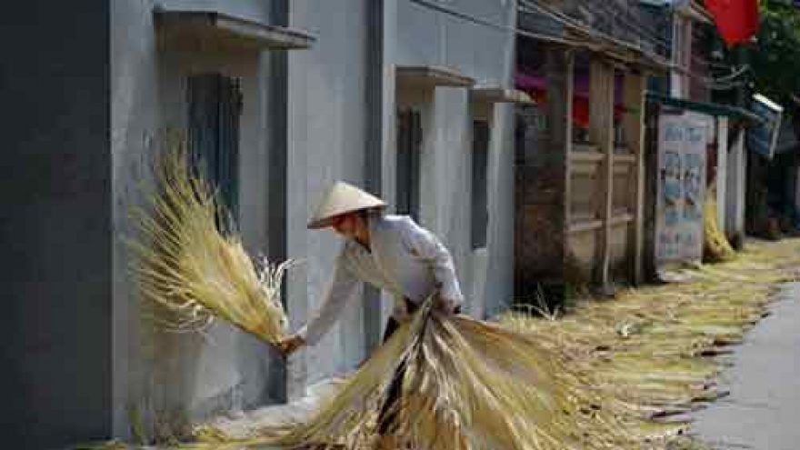 Tri Le - a village that makes traditional palm leaf hats