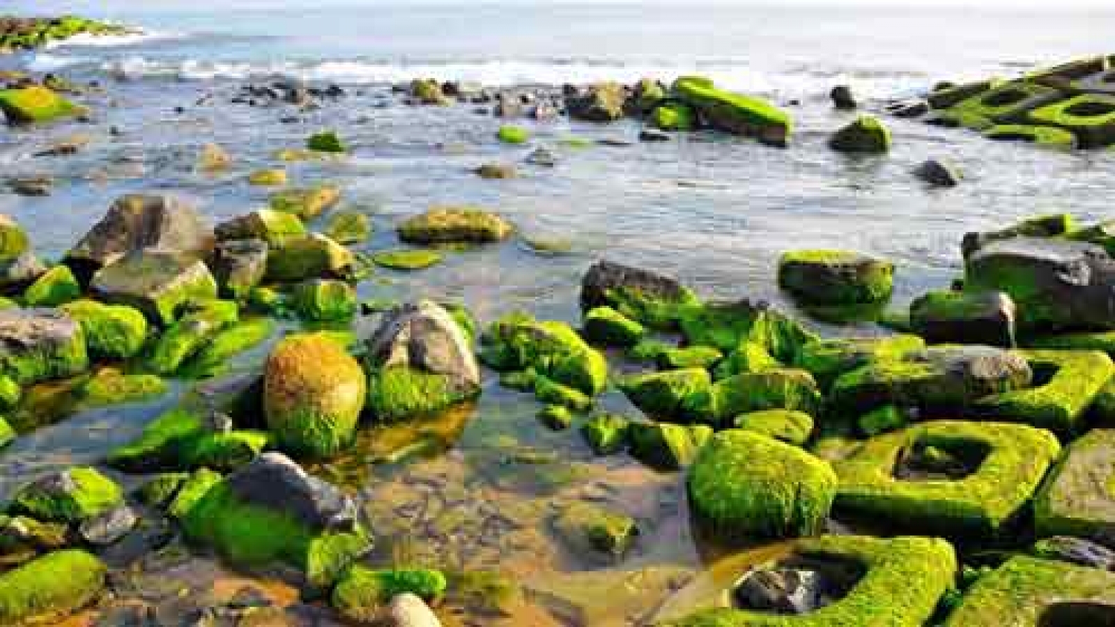 The 7 natural wonders of Phu Yen
