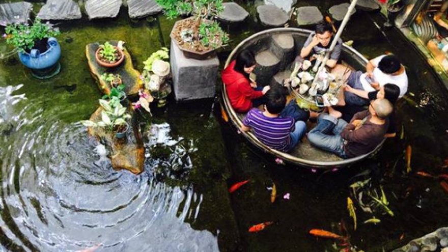 Ornamental fish breeding coffee shops in HCM City