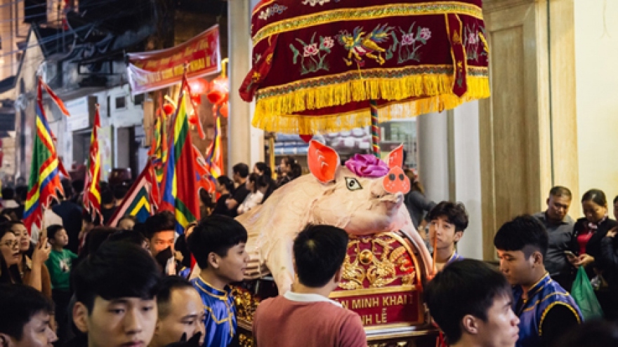 Thousands gather to witness pig procession festival