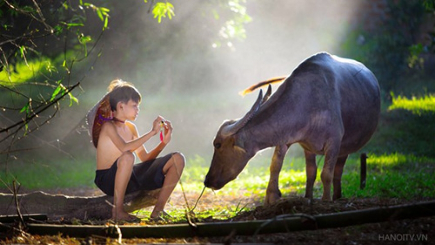 Everyday rural life and people of Vietnam