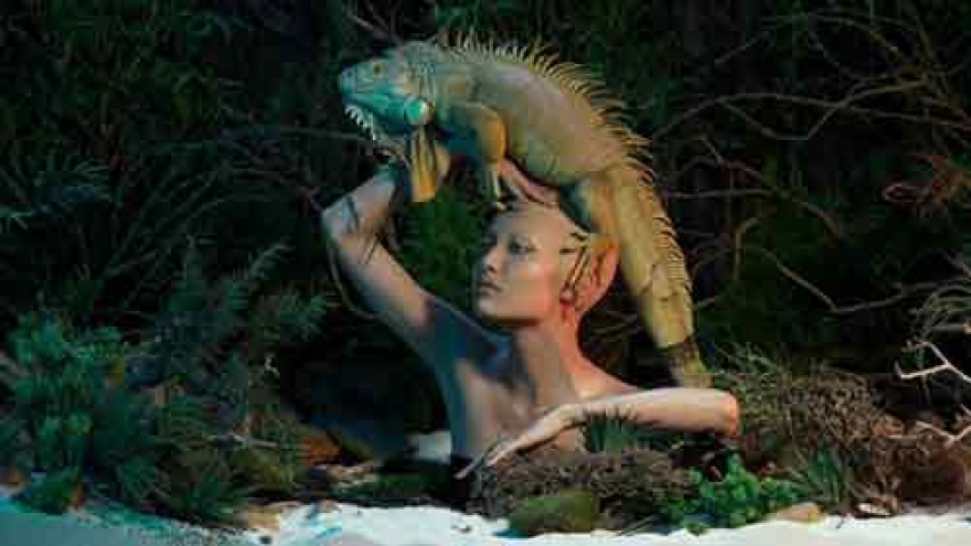 
        Next Top Model hopefuls face ‘creepy crawly’ challenge
                          
                      