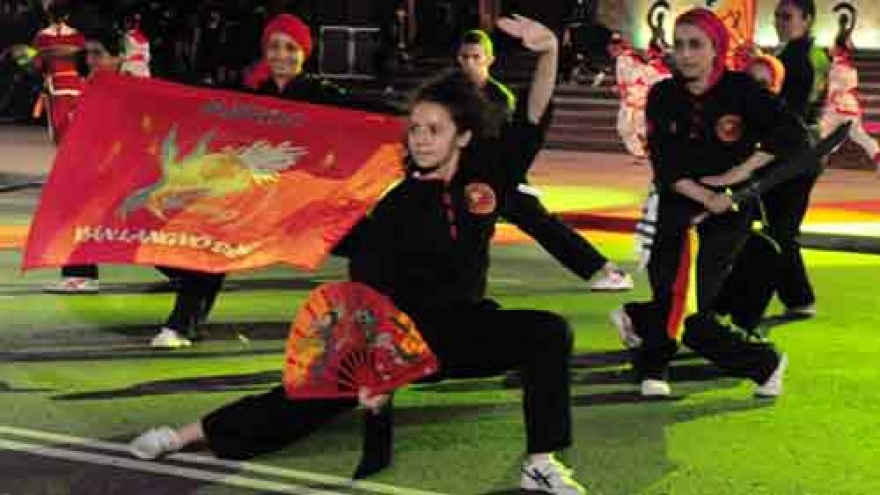 
        Int’l Vietnamese Traditional Martial Arts Festival opens
                          
                      