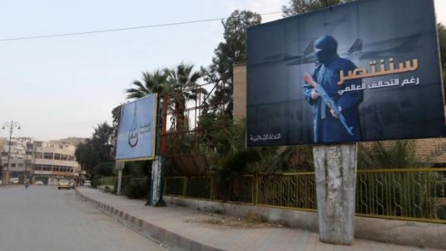 Dozens killed in air strikes on Syria's Raqqa: monitor, activists