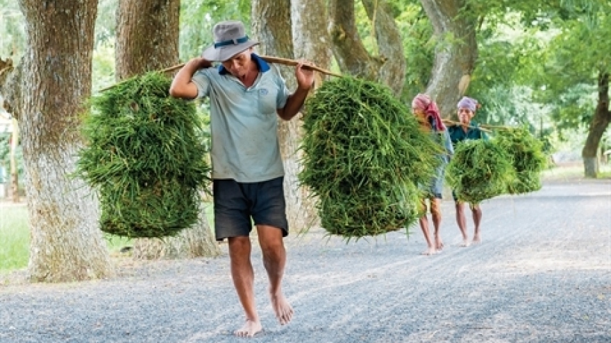 Vietnam's aging population expected to work longer in future