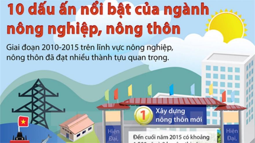 Agriculture sector celebrates 70th traditional day