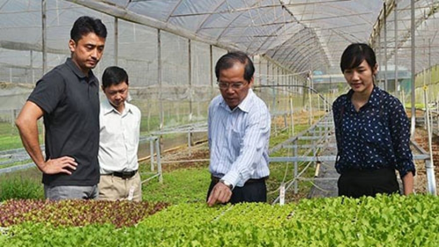 Ministry to promote agriculture investment