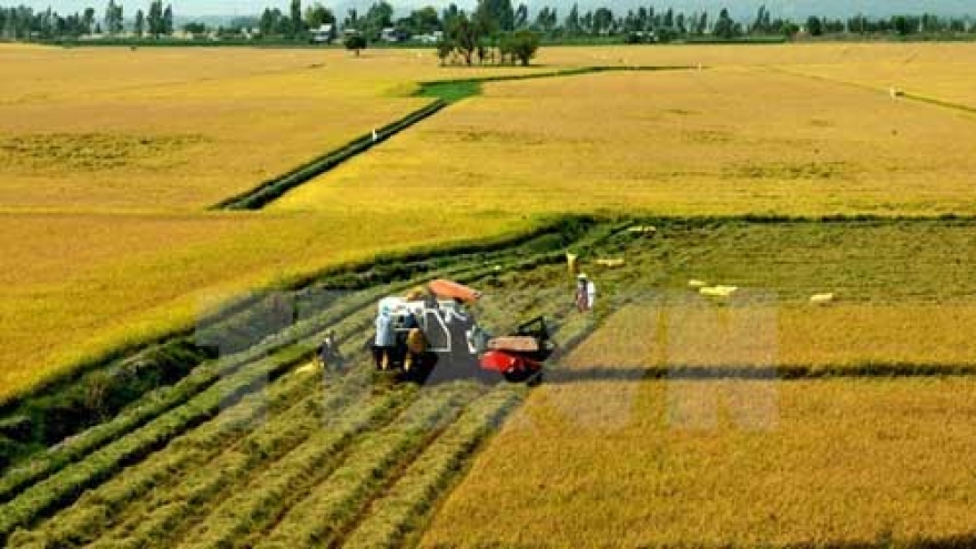 Agriculture sees lowest growth in five years