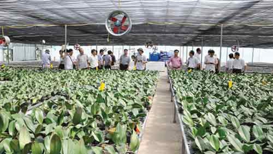 
        Hi-tech agriculture a growing trend
                              