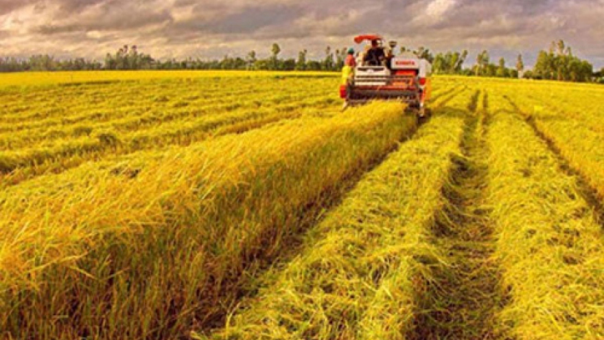 Agriculture sector restructuring prioritized next year