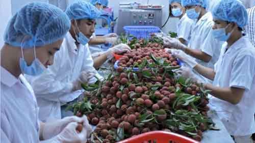 Agricultural exports steadily overcome difficulties