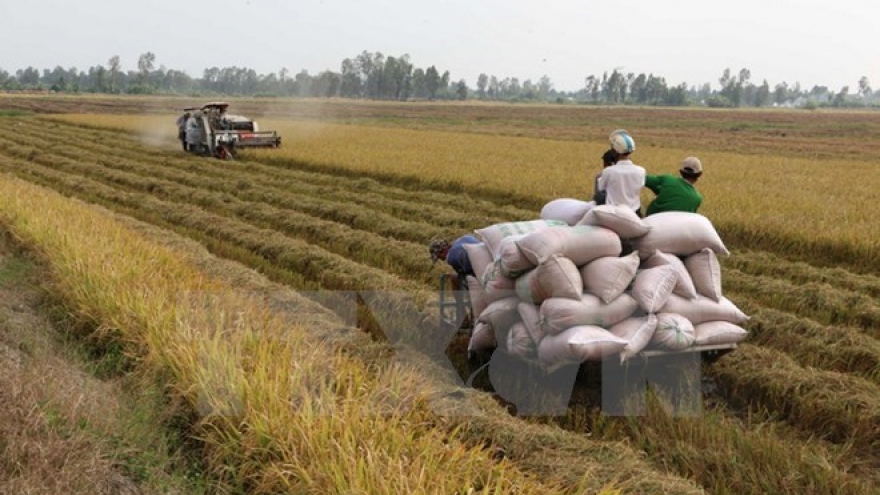Vietnam, Mozambique discuss promoting agricultural ties