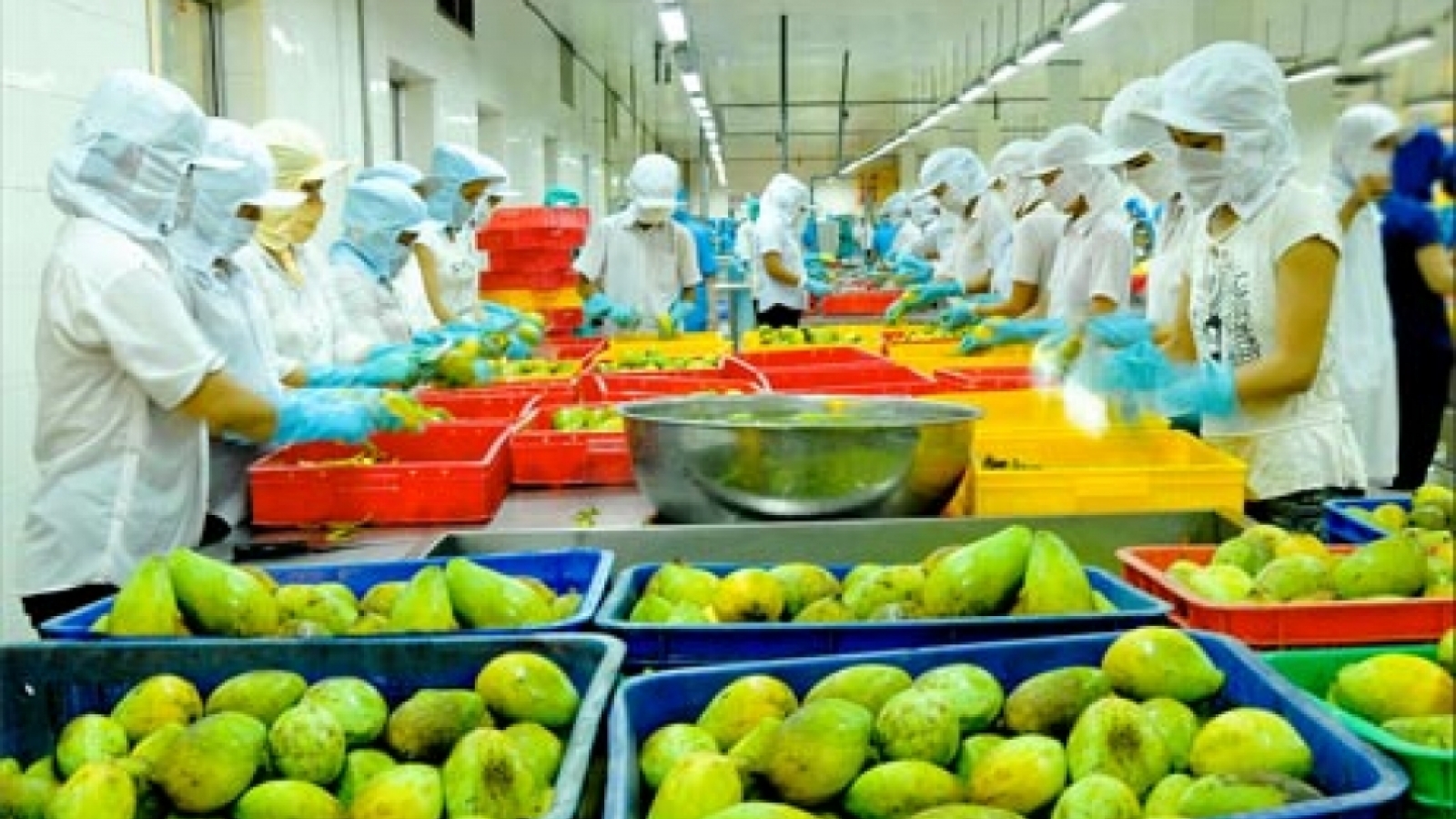 Vietnamese agricultural products introduced in Ukraine