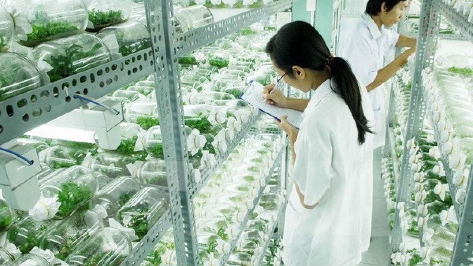 Model of collaborative training in agriculture