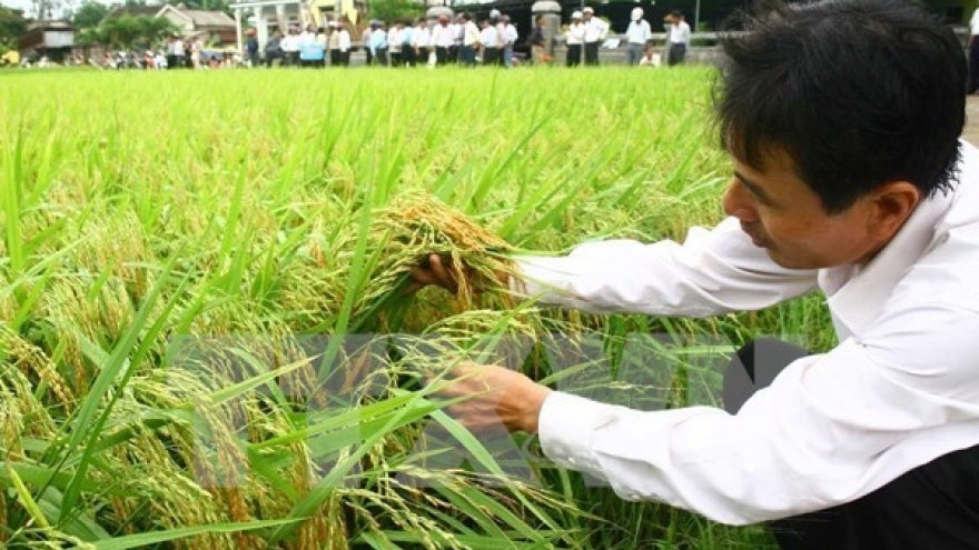 Solution sought to assist farmers in adapting to TPP