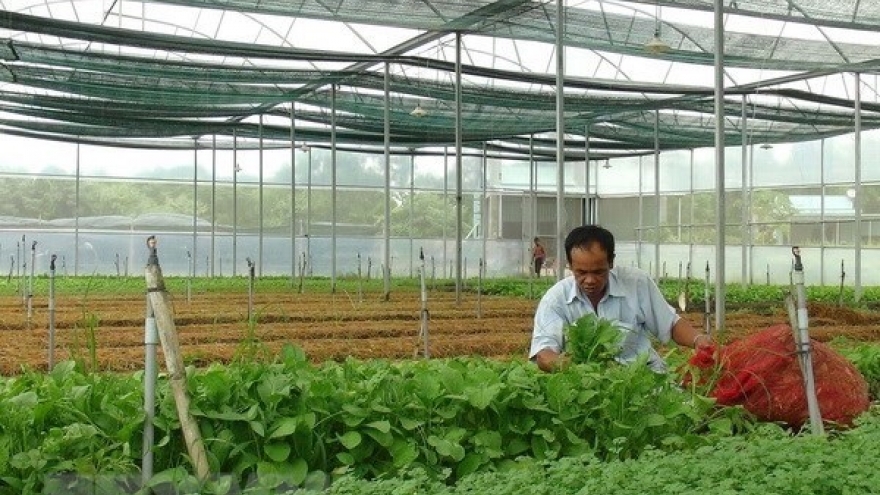 
        Vietnam targets 100,000 agricultural businesses
                              