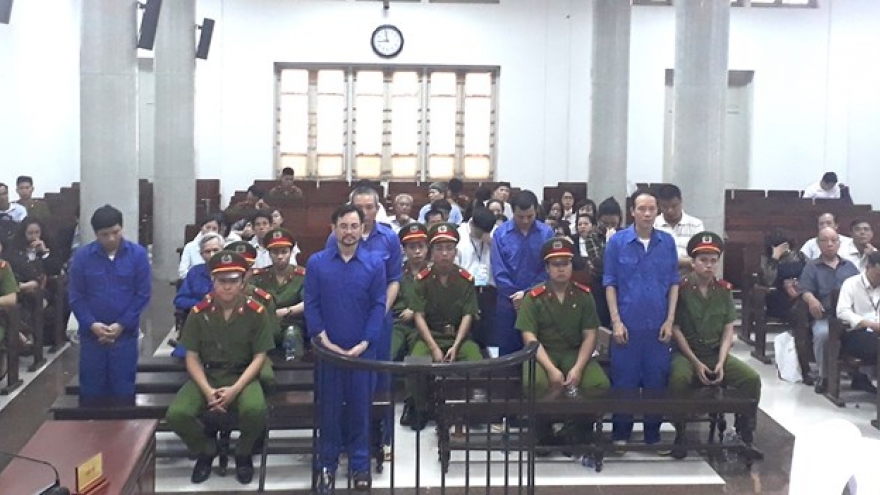 Eleven jailed for fake multi-million-USD afforestation project