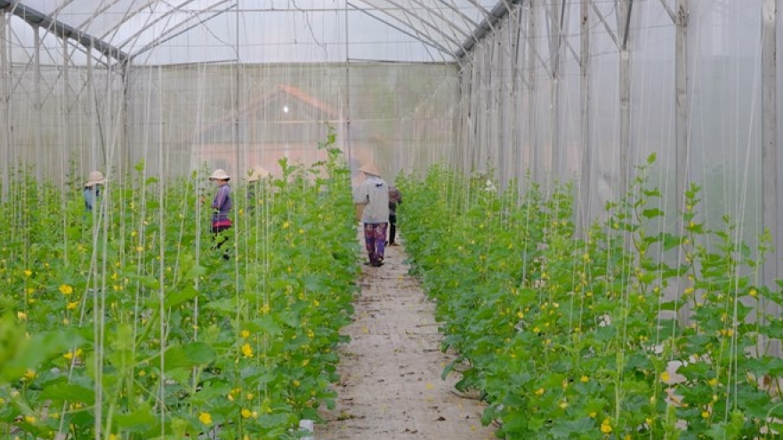 Forum on agricultural product consumption to be held for first time