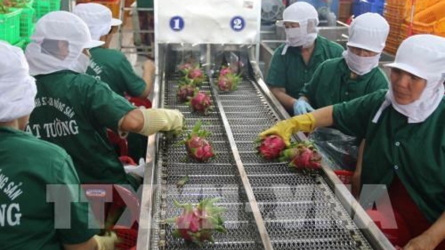 An Giang: Exports of agricultural products, clothing hike in January