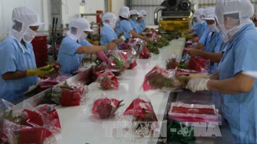Agro-forestry-fishery exports exceed US$6 bln in first two months