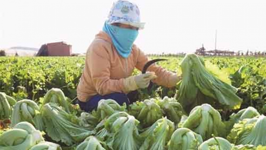 Agriculture an attractive field for investors?