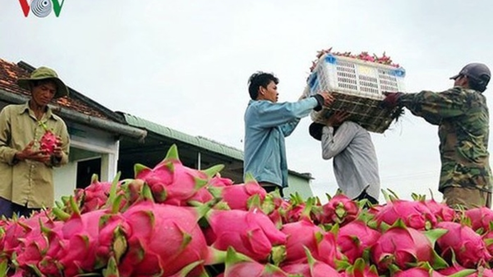 Agricultural sector reaches peak levels in 2018