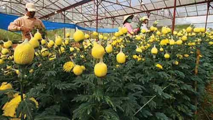 Agricultural businesses set to increase by 10% each year