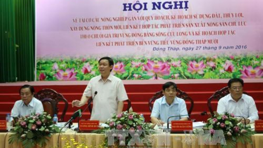Mekong Delta: Agricultural restructuring needs to follow region planning