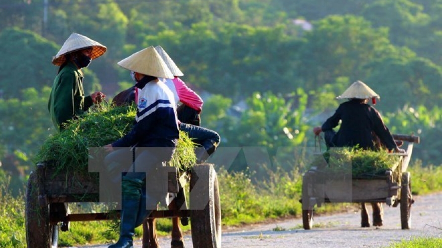 Lawmakers review rural construction, agricultural restructuring
