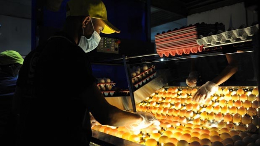 
        Vietnam not ready yet for high-technology agriculture
                              
