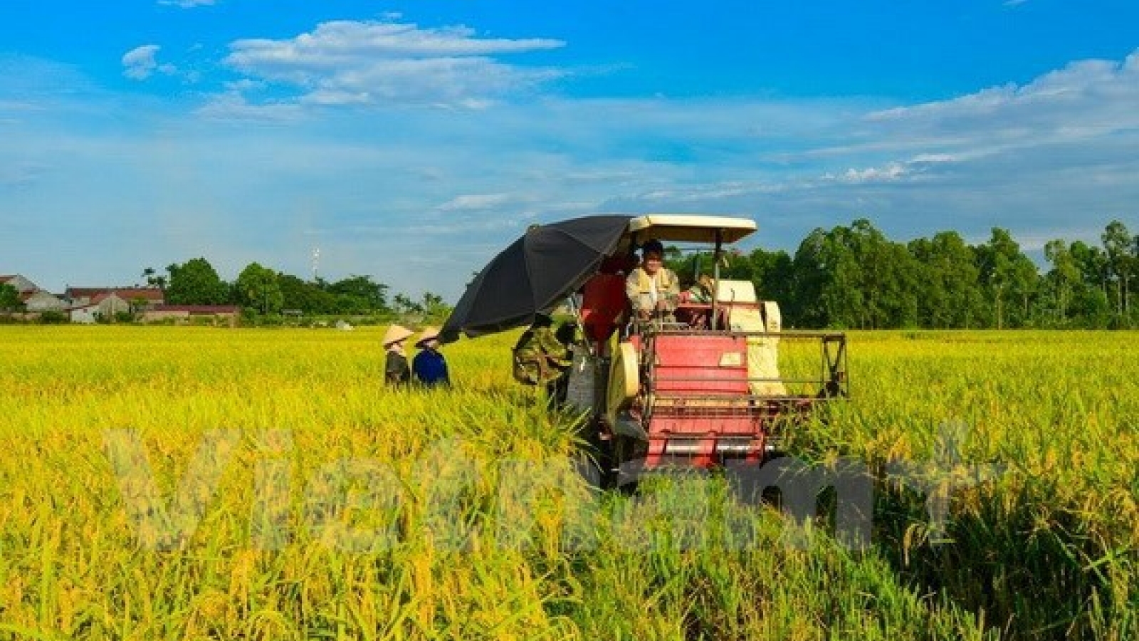Hi-tech agriculture heats up NA session