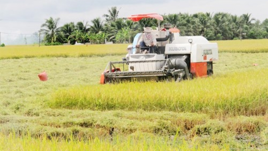 Agricultural restructuring in response to climate change