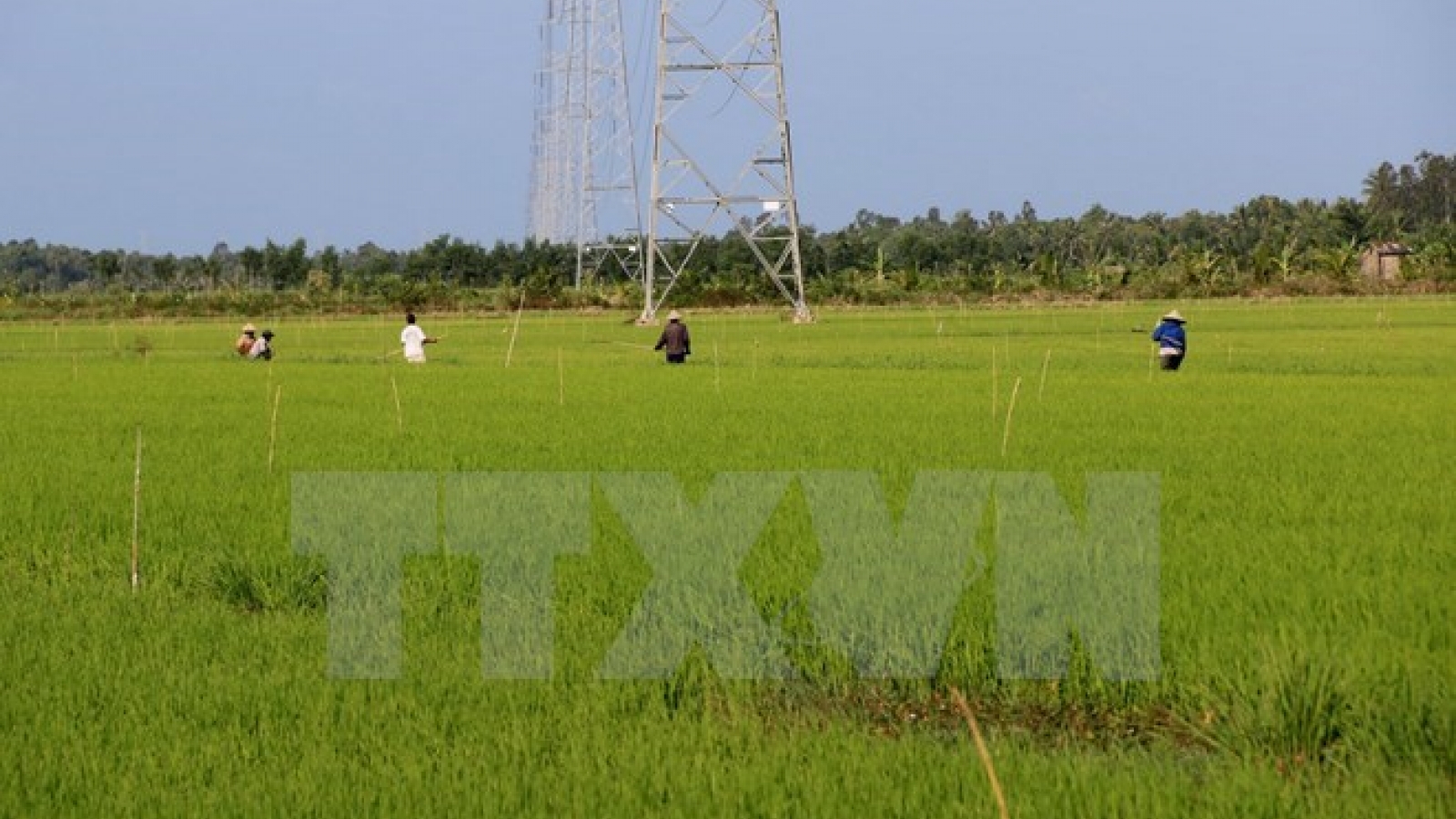 PM suggests hi-tech and organic farming for national agriculture