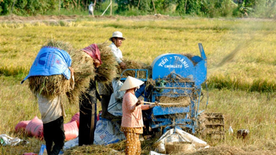 
        Mekong Delta finds it hard to attract FDI in agriculture
                              