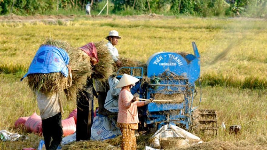 Mekong Delta finds it hard to attract FDI in agriculture