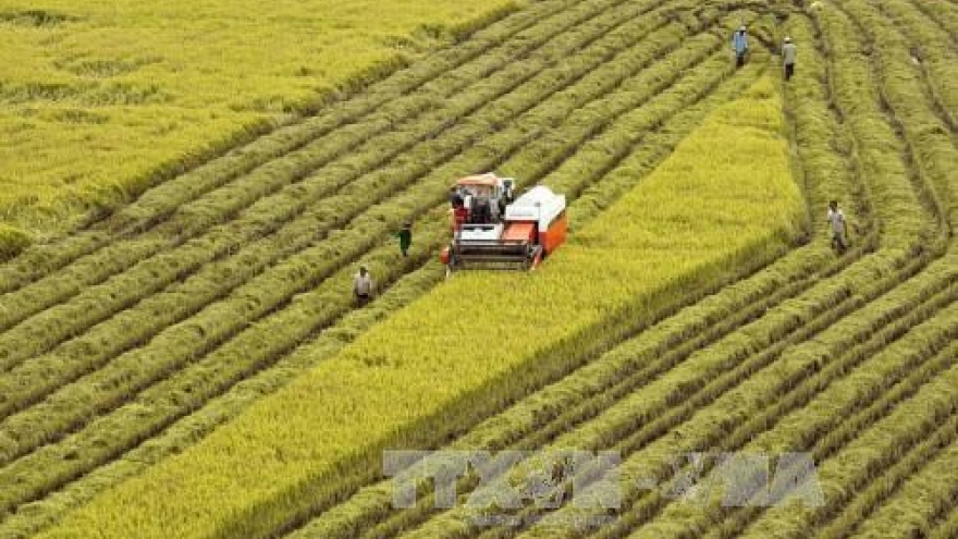 Hau Giang, RoK firms work to promote high-tech agriculture