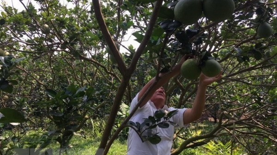 Technological application crucial to agriculture