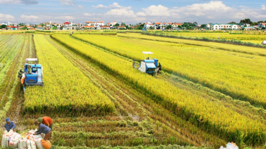 Big investments in agriculture lift competition