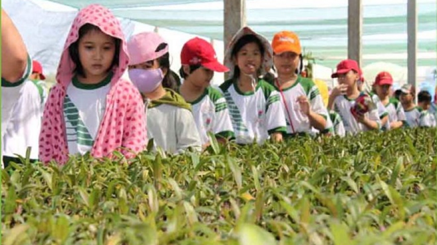 HCM City seeks solutions to promote agriculture tourism